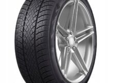 Triangle WinterX TW401